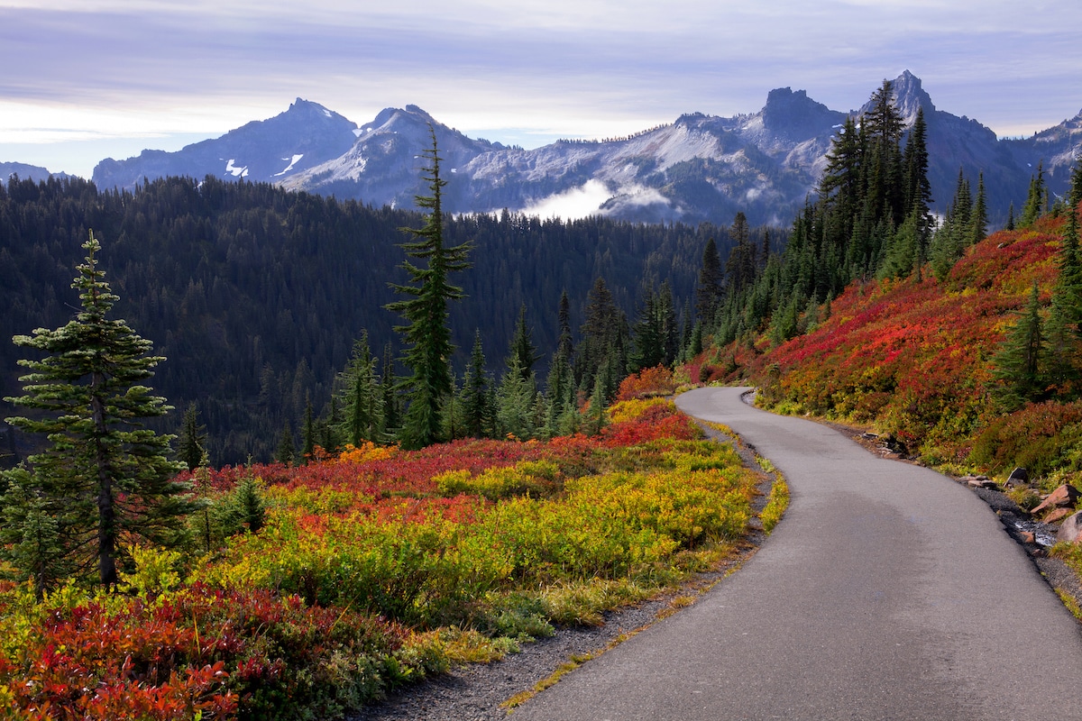 mount rainier national park