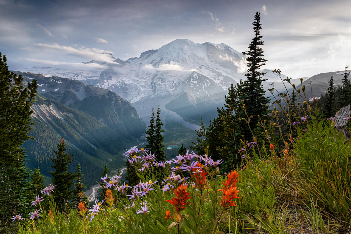 PARADISE Mt Rainier is the Most Beautiful Place in US (Here's Proof)