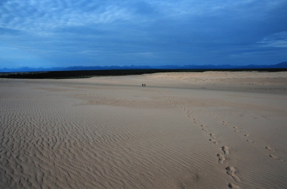 Dunes at Kobuk Valley National Park